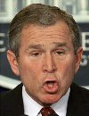 bush